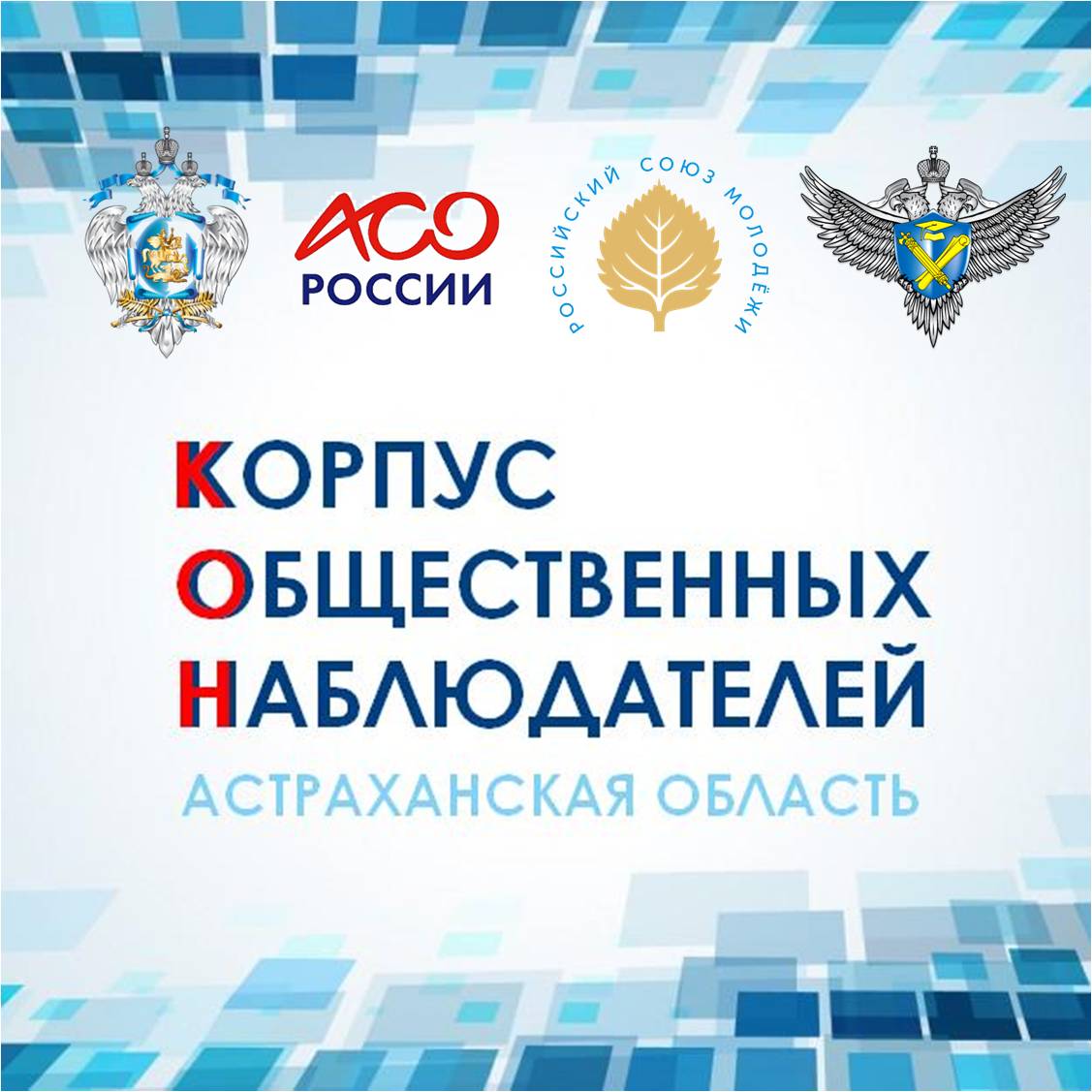 Корпус общественных наблюдателей